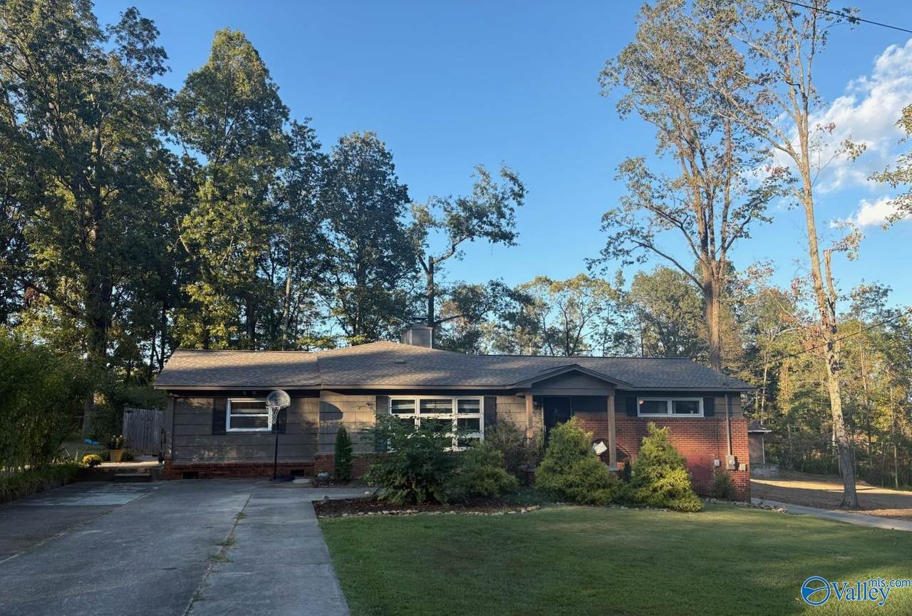 4728 Panorama Drive - Photo 1