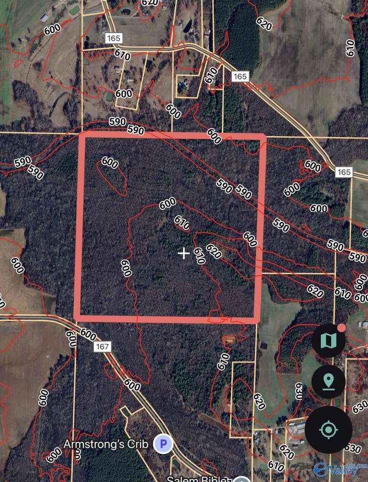 160 acres County Road 167 - Photo 1