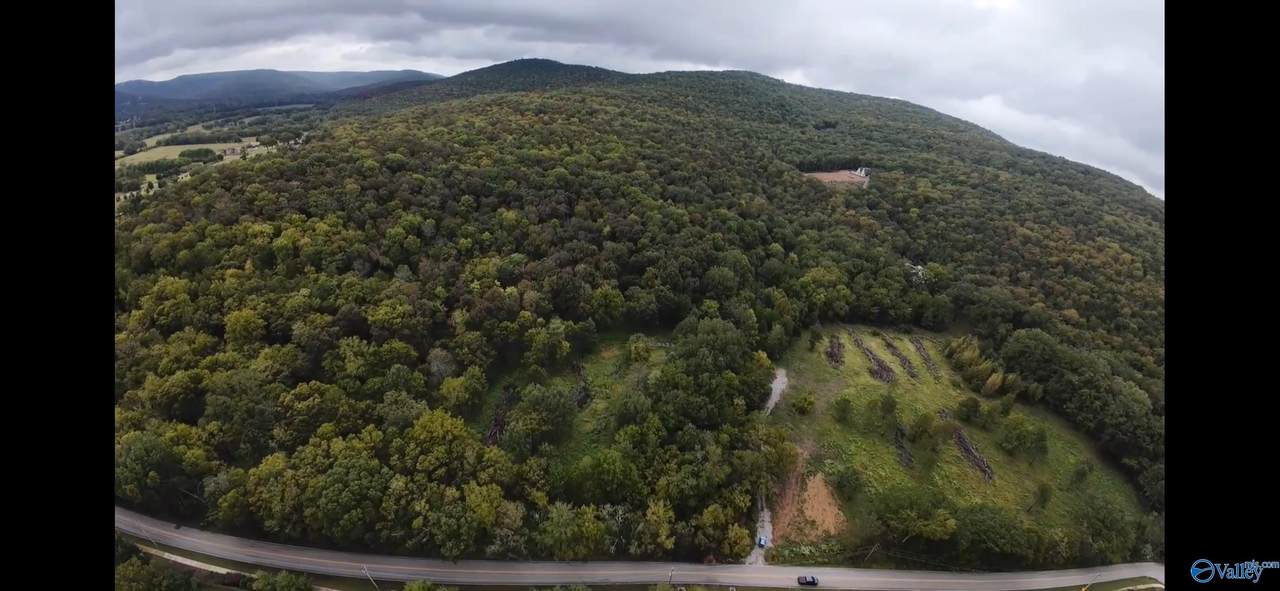 381 Caldwell Lane - Photo 1