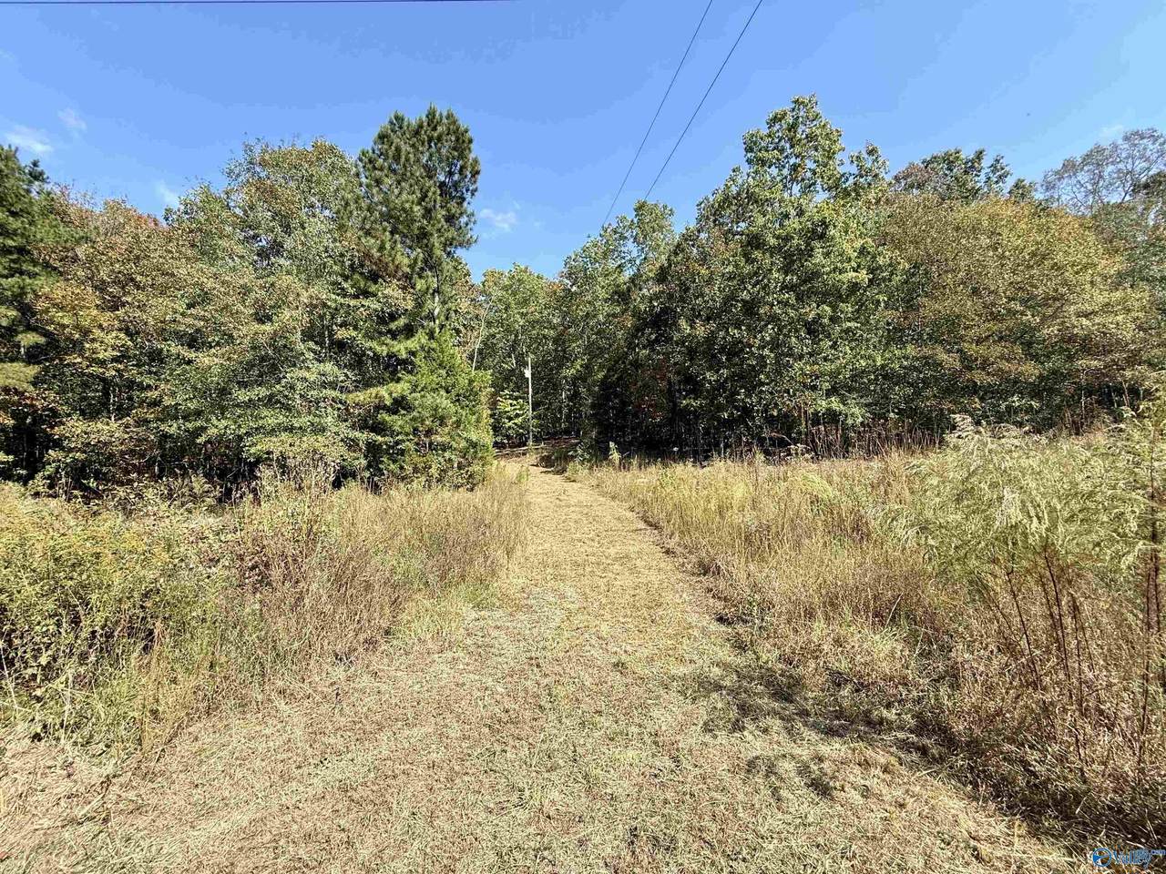 400 County Road 915 - Photo 1