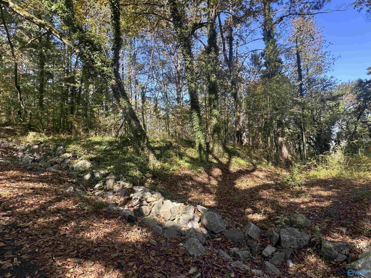 Lot 4 Smith Street - Photo 1