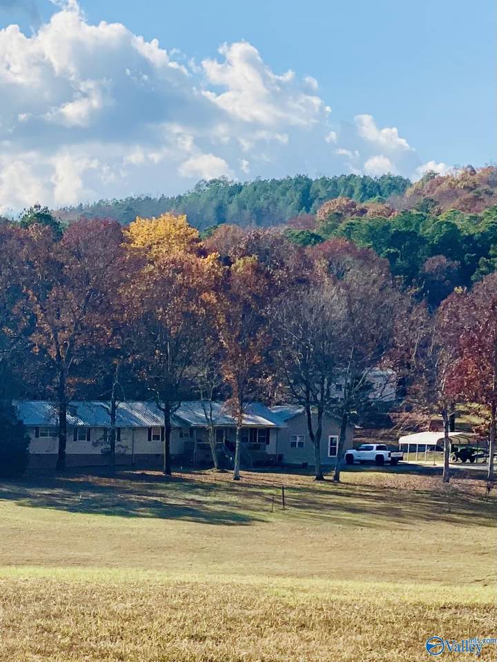 1181 Stone Drive - Photo 1