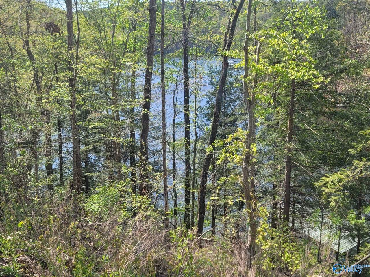 458 County Road 4036 - Photo 1