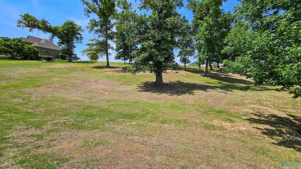 9115 Brigadoon Drive - Photo 1