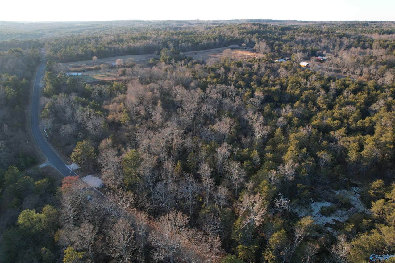3 AC County Road 52 - Photo 1