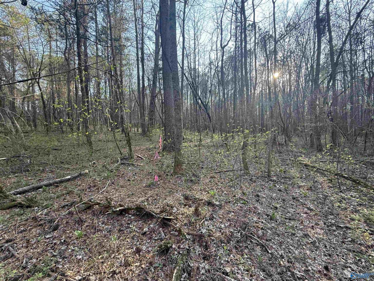7 acres Carters Gin Road - Photo 1