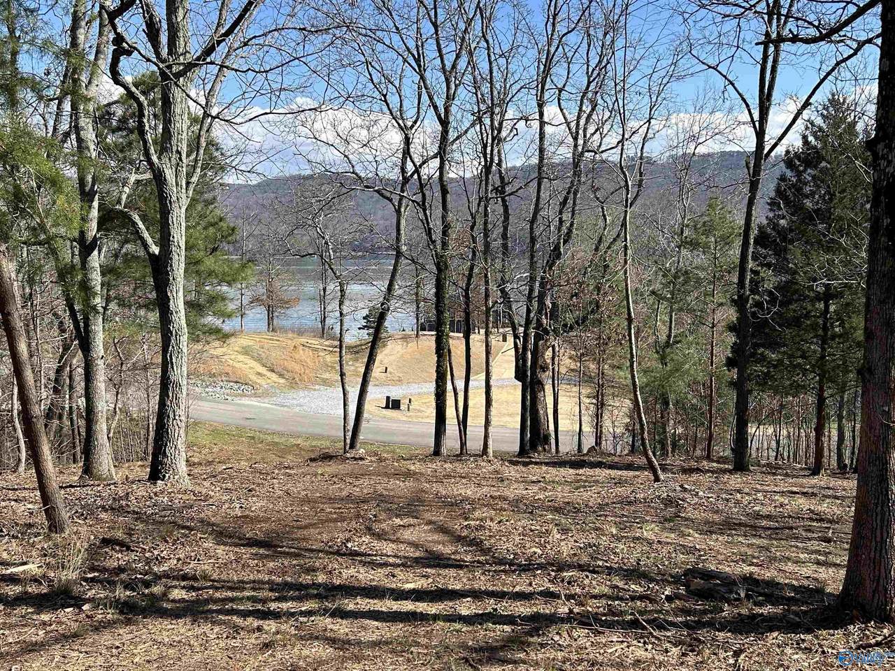 Lot 149 Lookout Mountain Drive - Photo 1