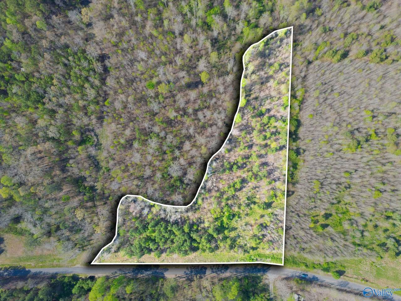 4 acres County Road 346 - Photo 1