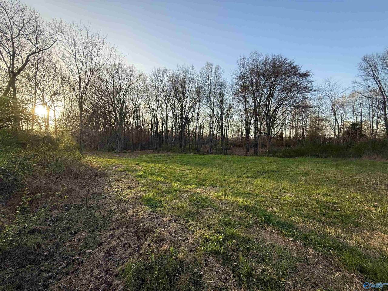 12305 Pulaski Pike - Photo 1