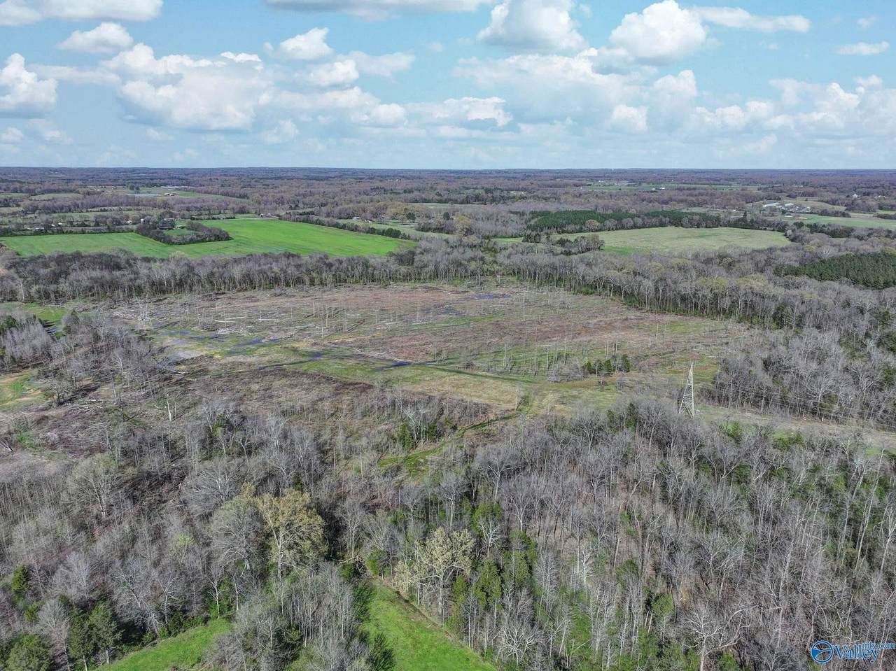 90 +/- ACRES County Road 39 - Photo 1