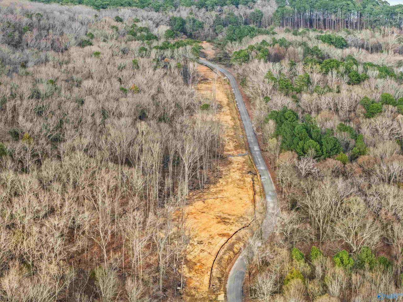 900-B Lot 10 County Road 114 - Photo 1