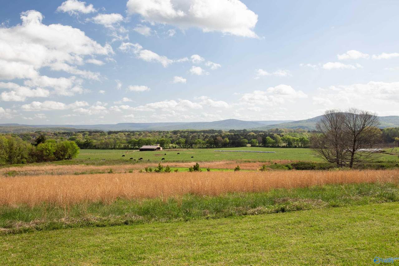 16.6 Acres Dug Hill Road - Photo 1