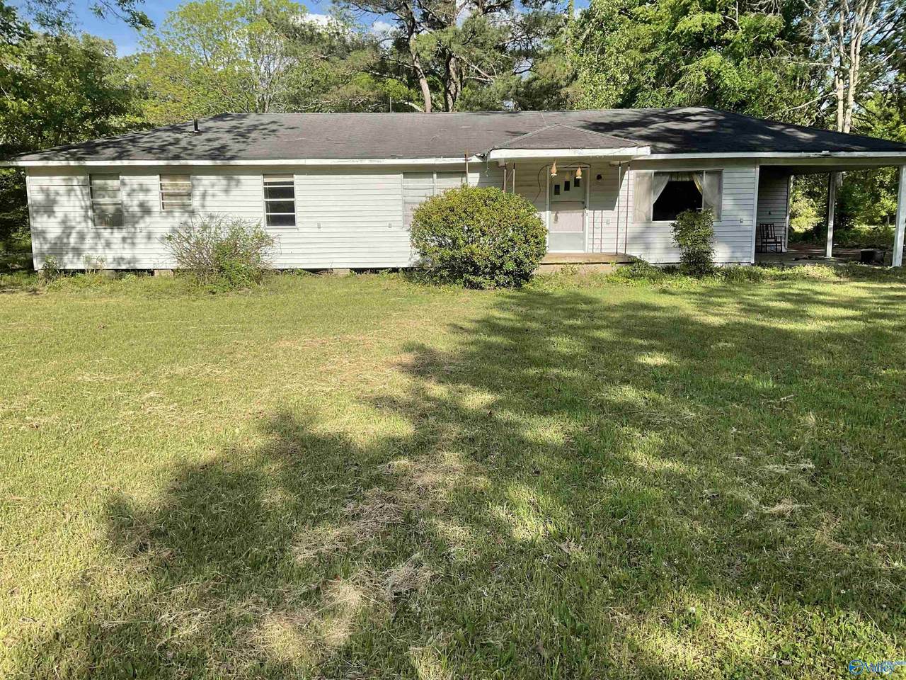 31670 Highway 17 - Photo 1