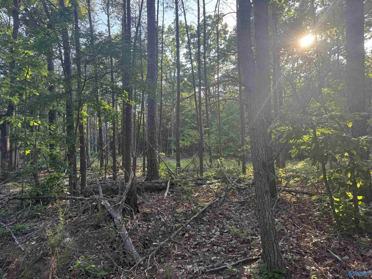 475 Summer House Mountain Road - Photo 1