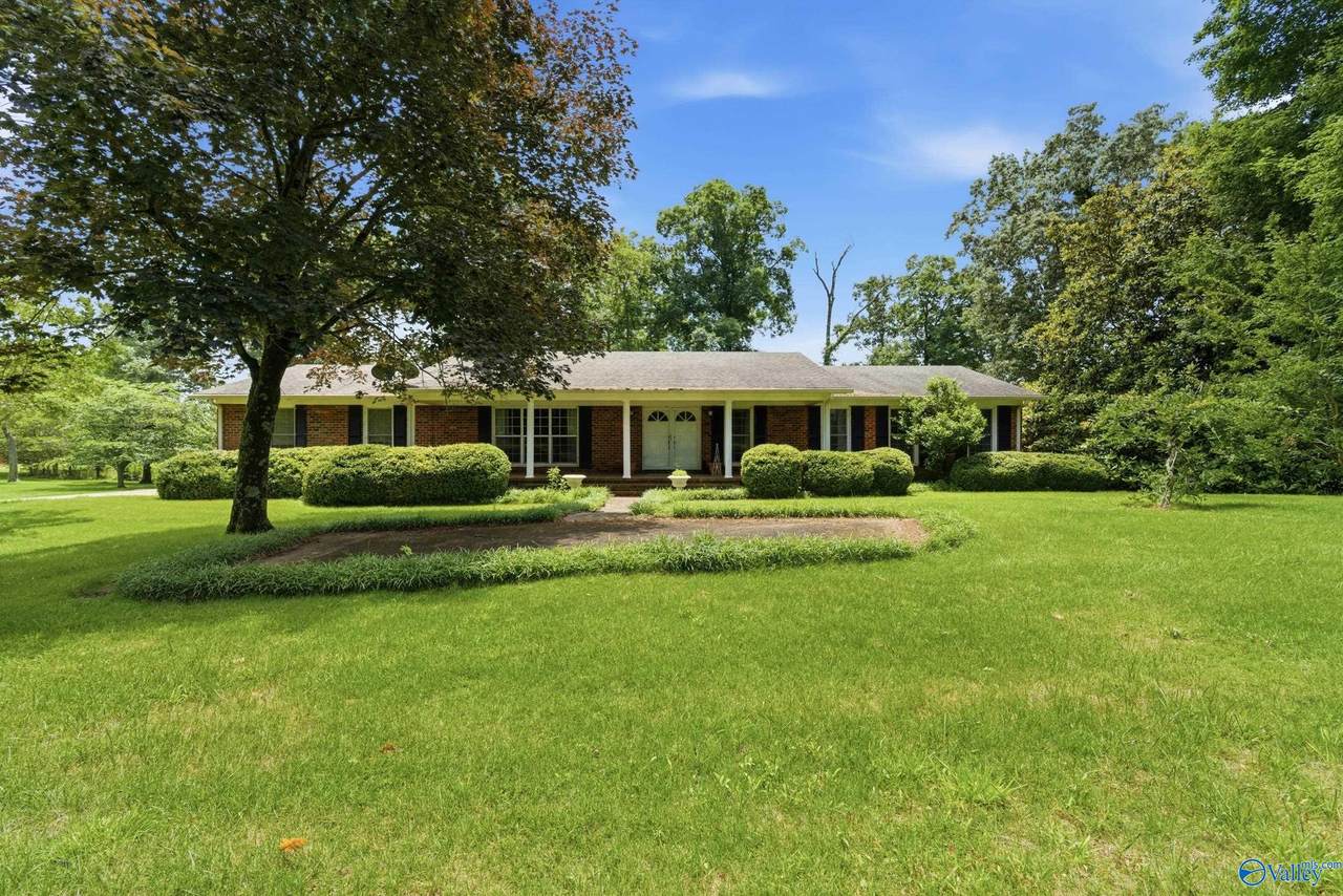 274 County Road 337 - Photo 1
