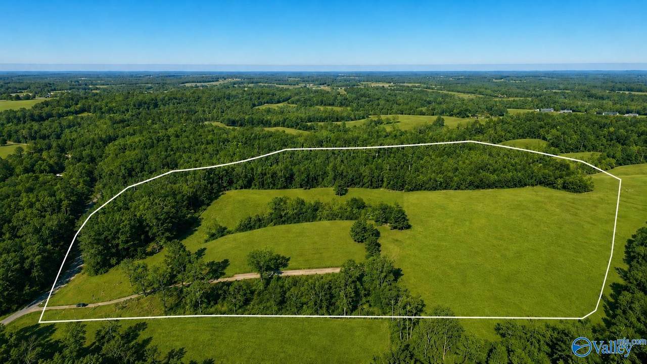 5221 County Road 50 - Photo 1