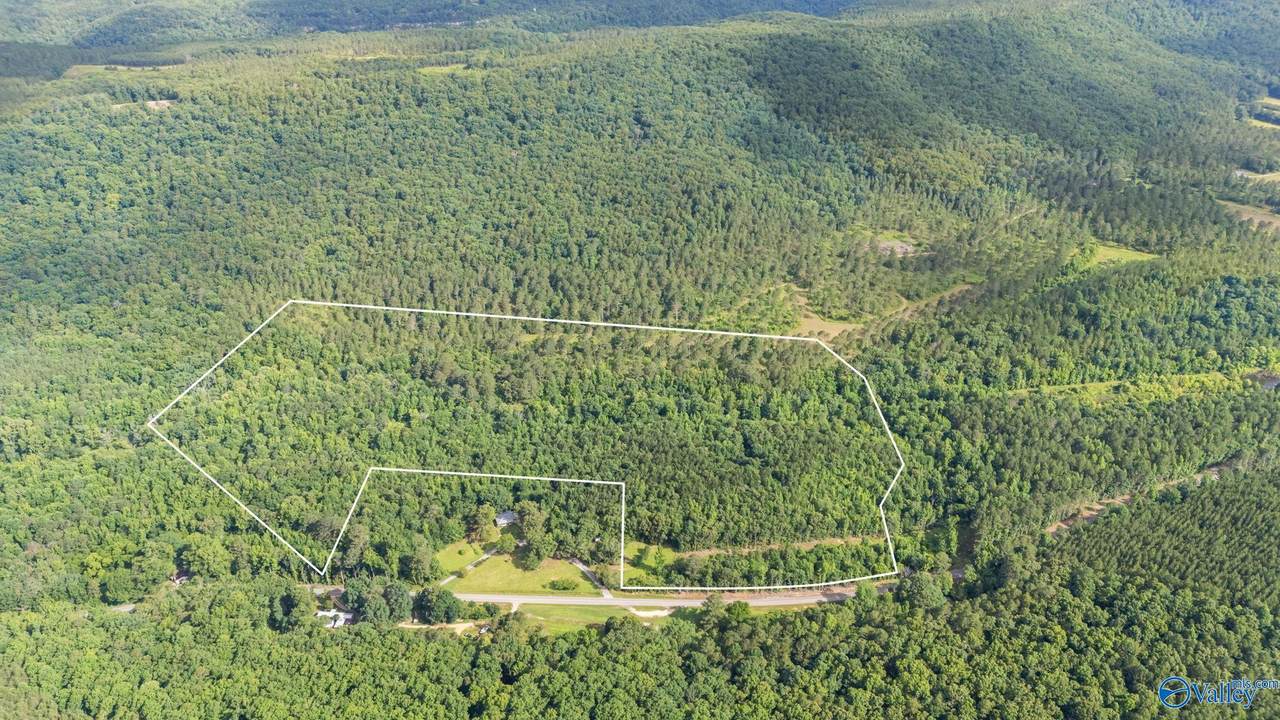 85 County Road 451 - Photo 1