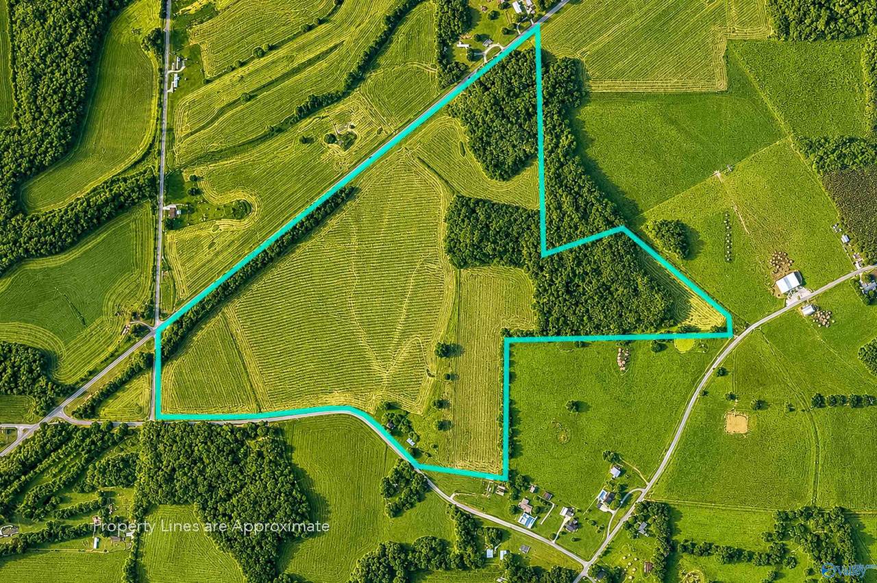 457 Oakley Chapel Road - Photo 1