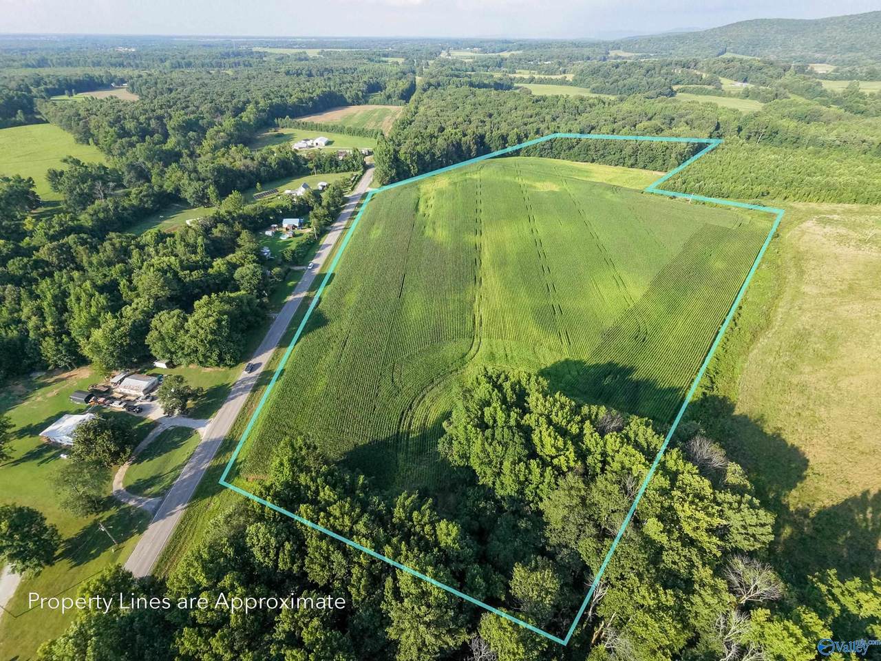 8204 Winchester Road - Photo 1