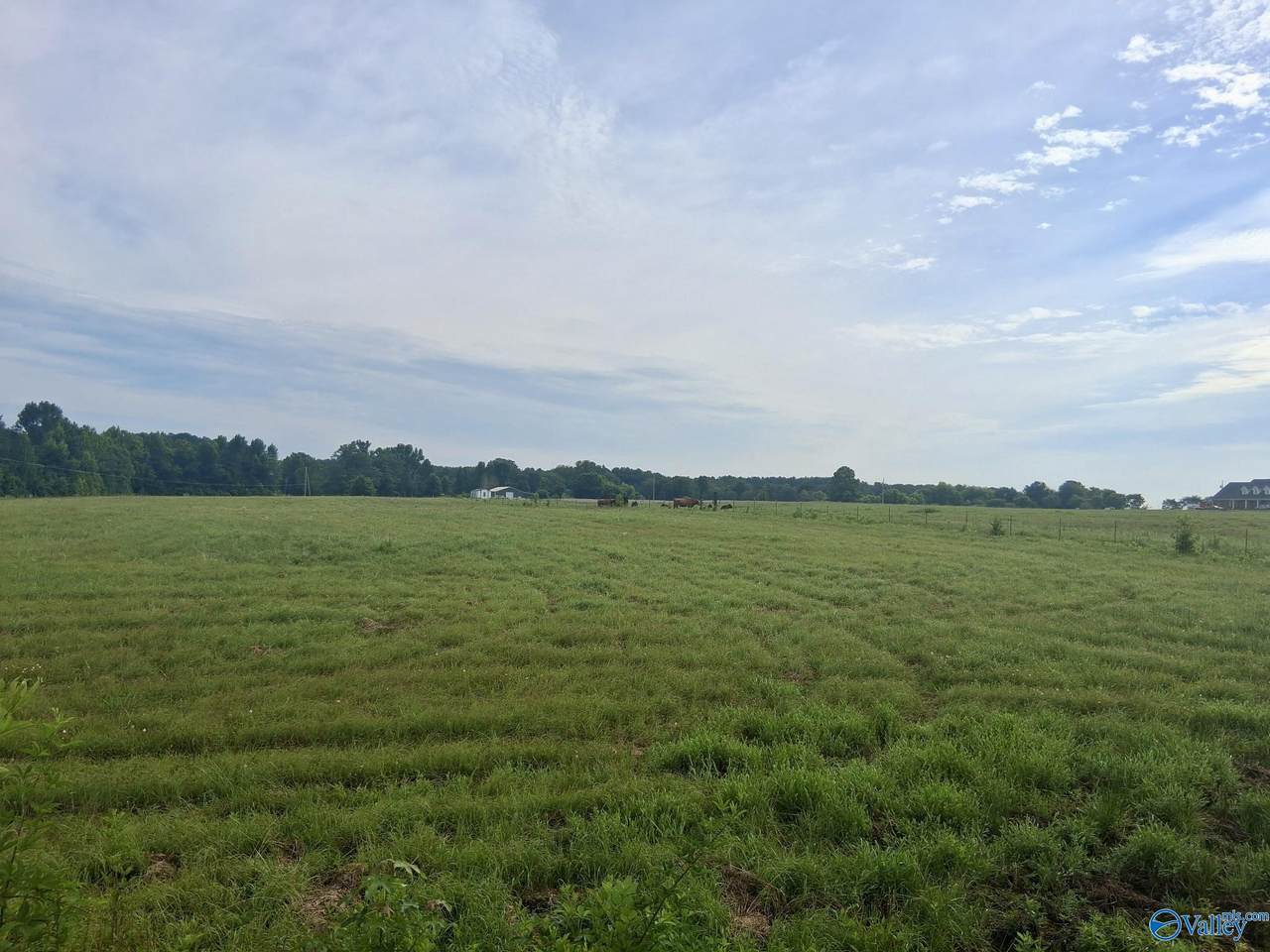 6 acres Columbus City Road - Photo 1