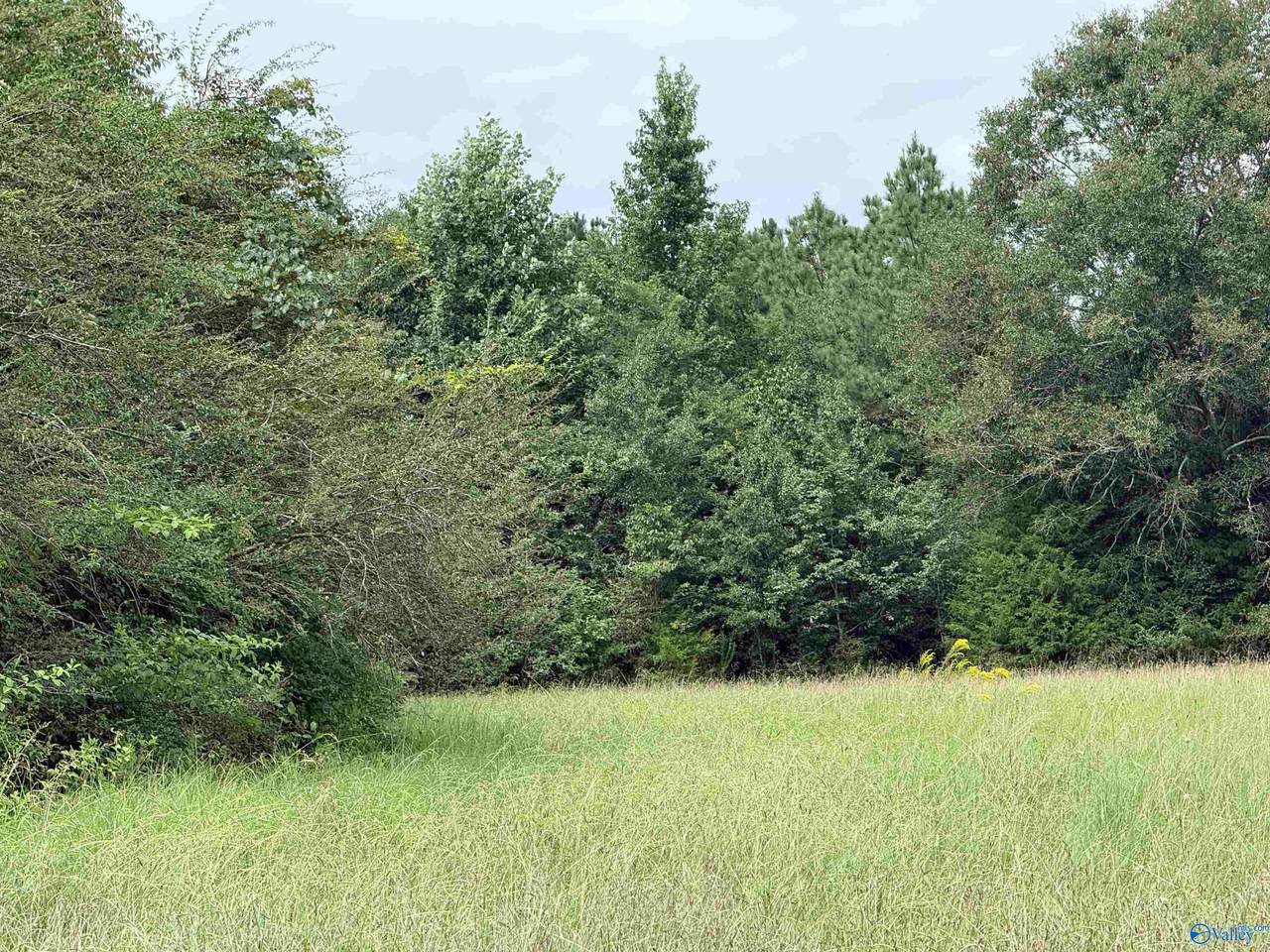 1 Yancy Lamb Drive - Photo 1