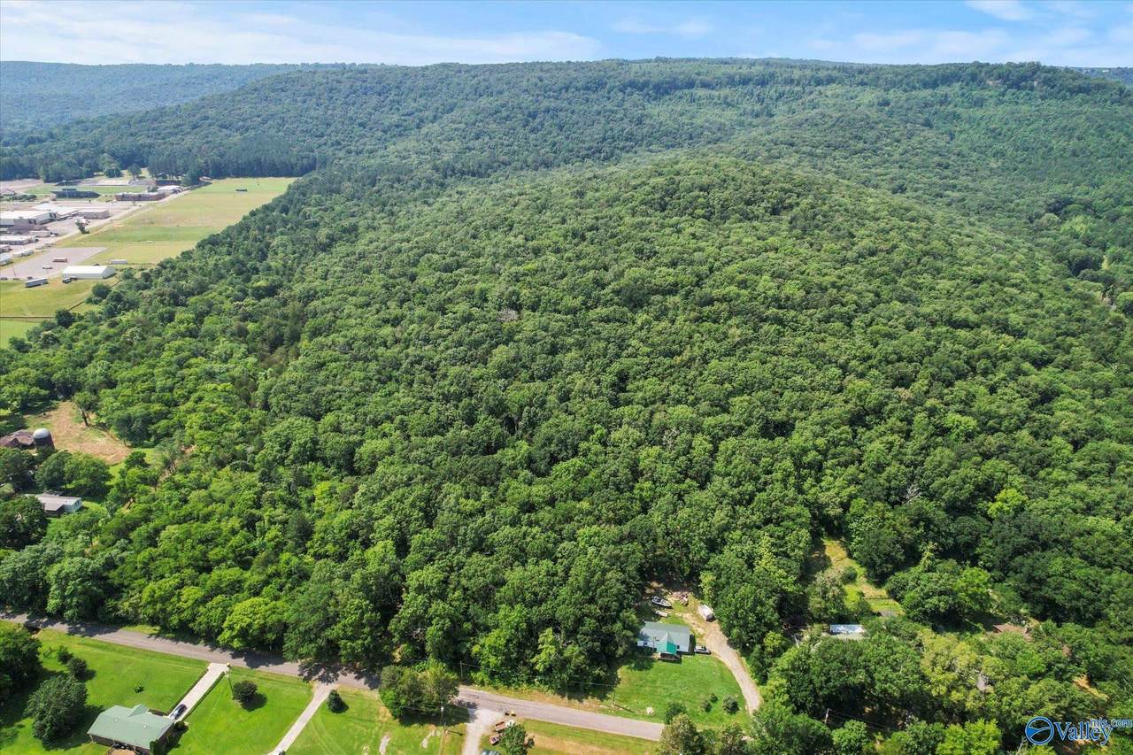 92 Acres All Jersey Road - Photo 1