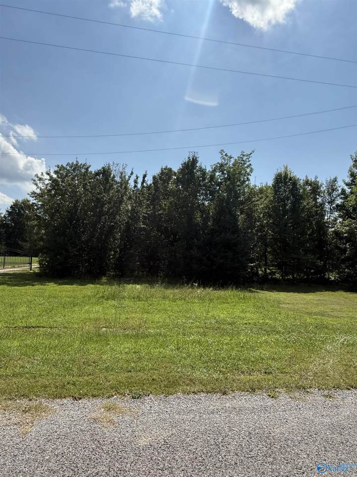 Lot 19 County Road 569 - Photo 1