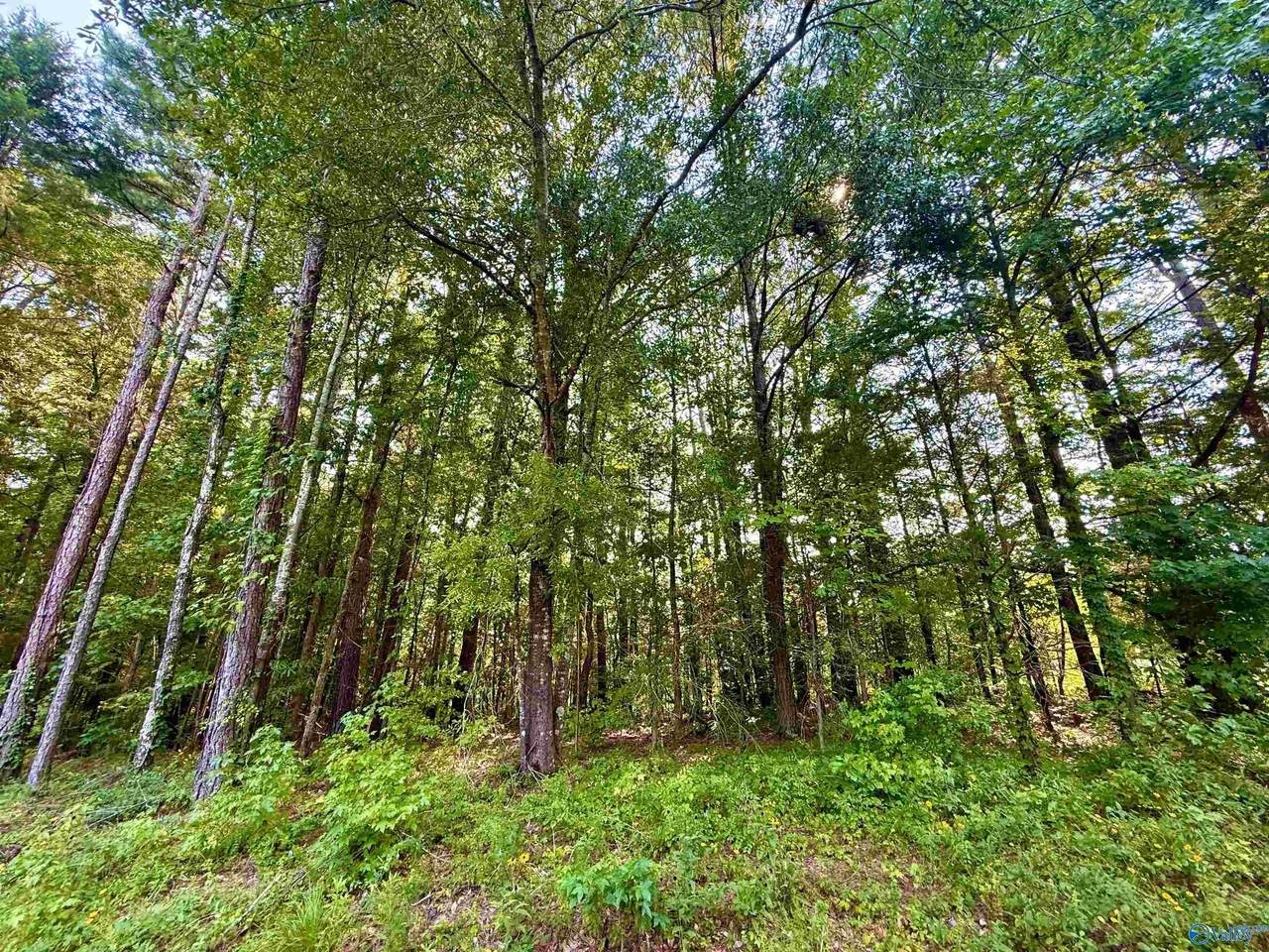3 Acres Herbert Road - Photo 1