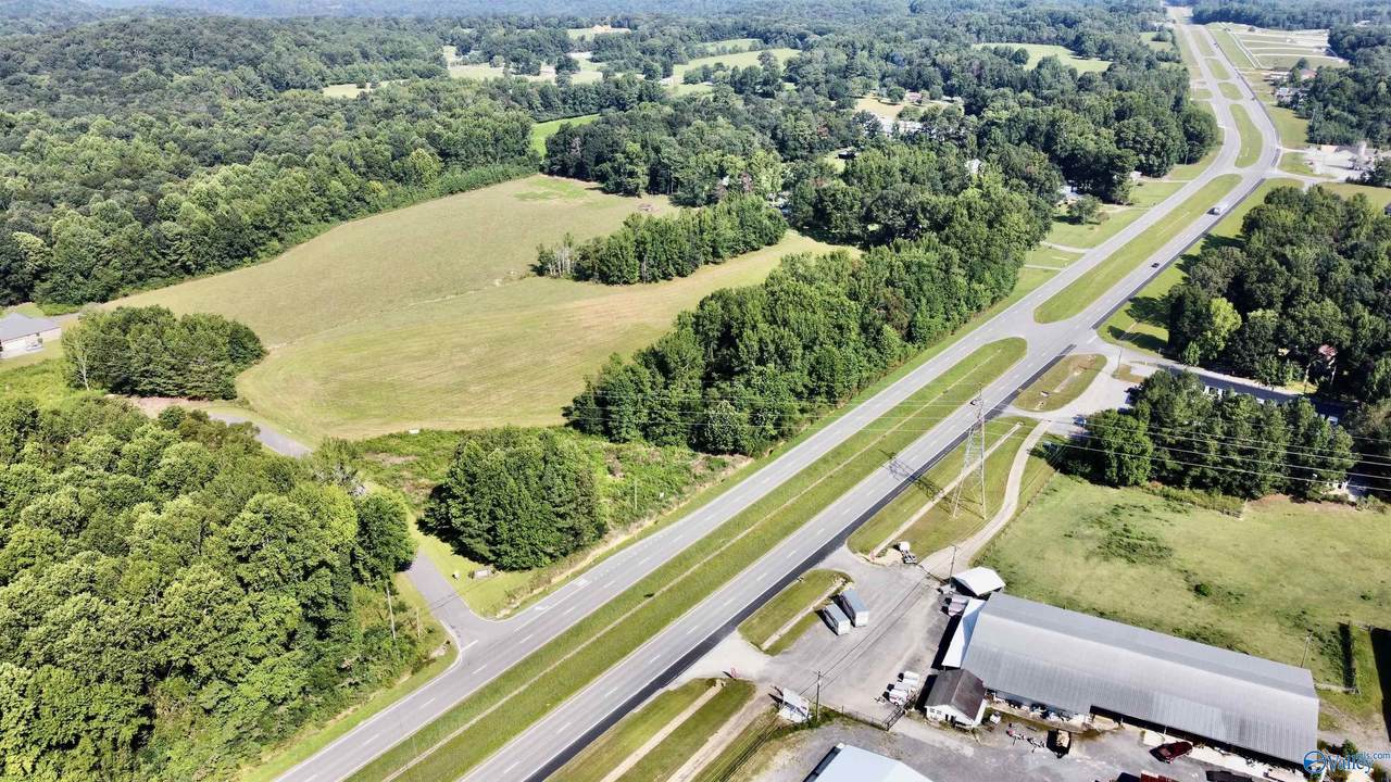 2.93 Acres Highway 231 - Photo 1