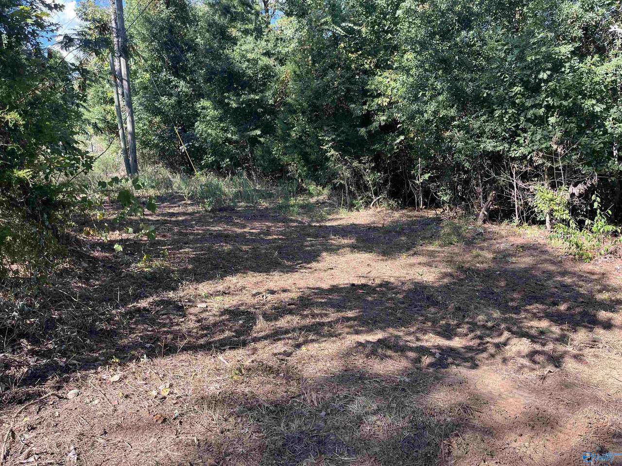35 ACRES Pine Ridge Road - Photo 1