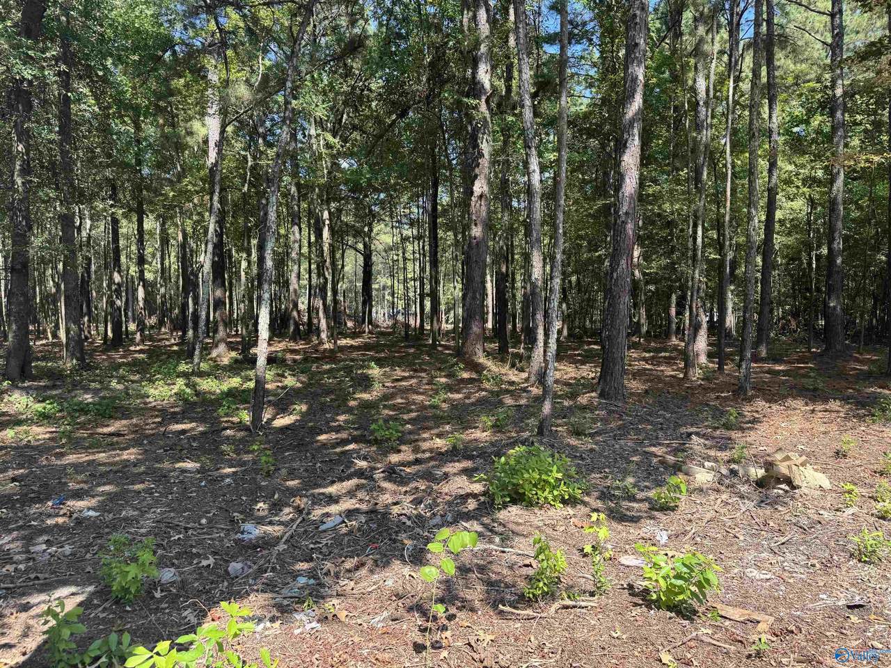 Lot 38 County Road 450 - Photo 1
