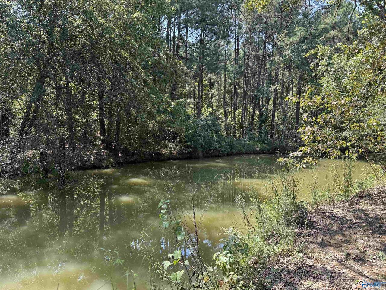 LOT 9 County Road 450 - Photo 1