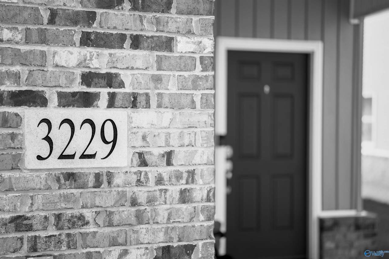 3229 Mcclellan Way - Photo 1