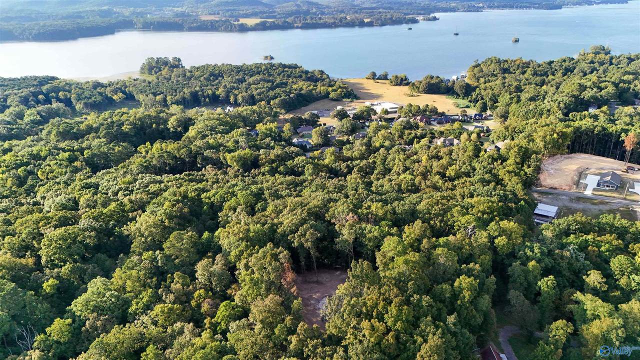 7 Acres - Photo 1