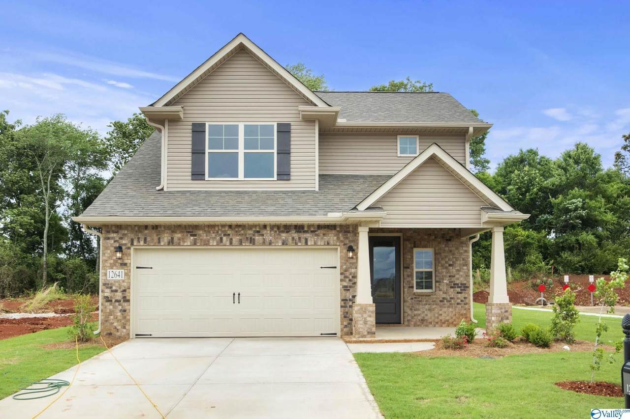 12641 Tallulah Drive - Photo 1