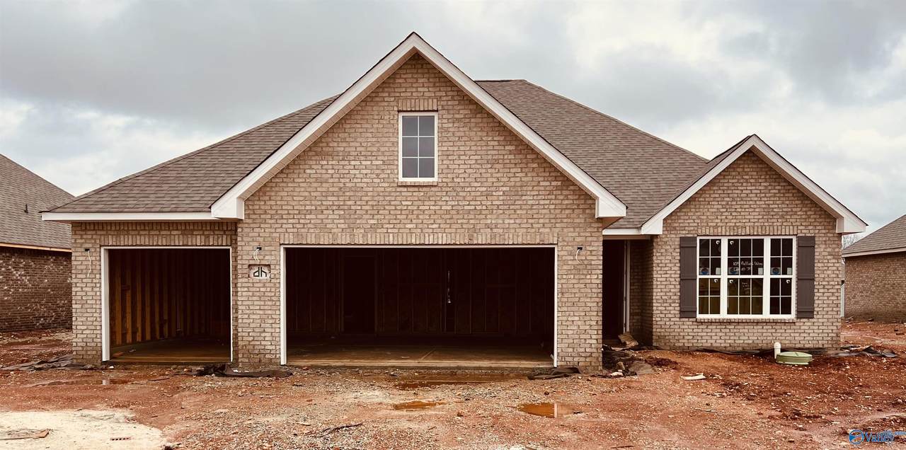 105 Nellies Way - Photo 1