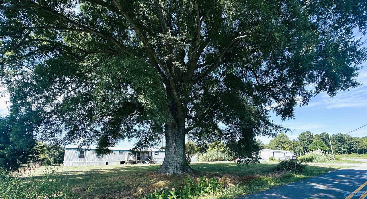 865 Quarry Road - Photo 1