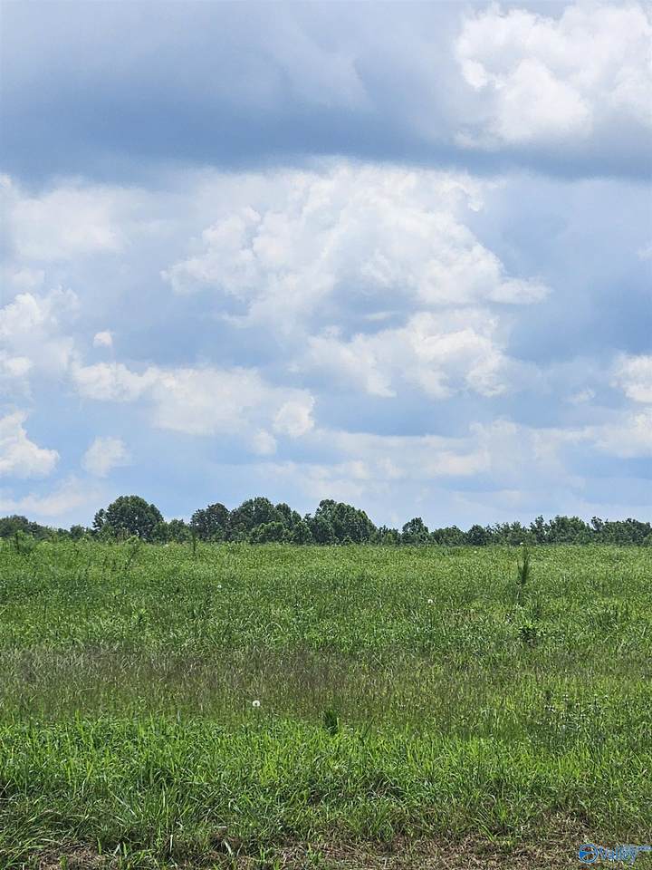 118 Treva Lane - Photo 1