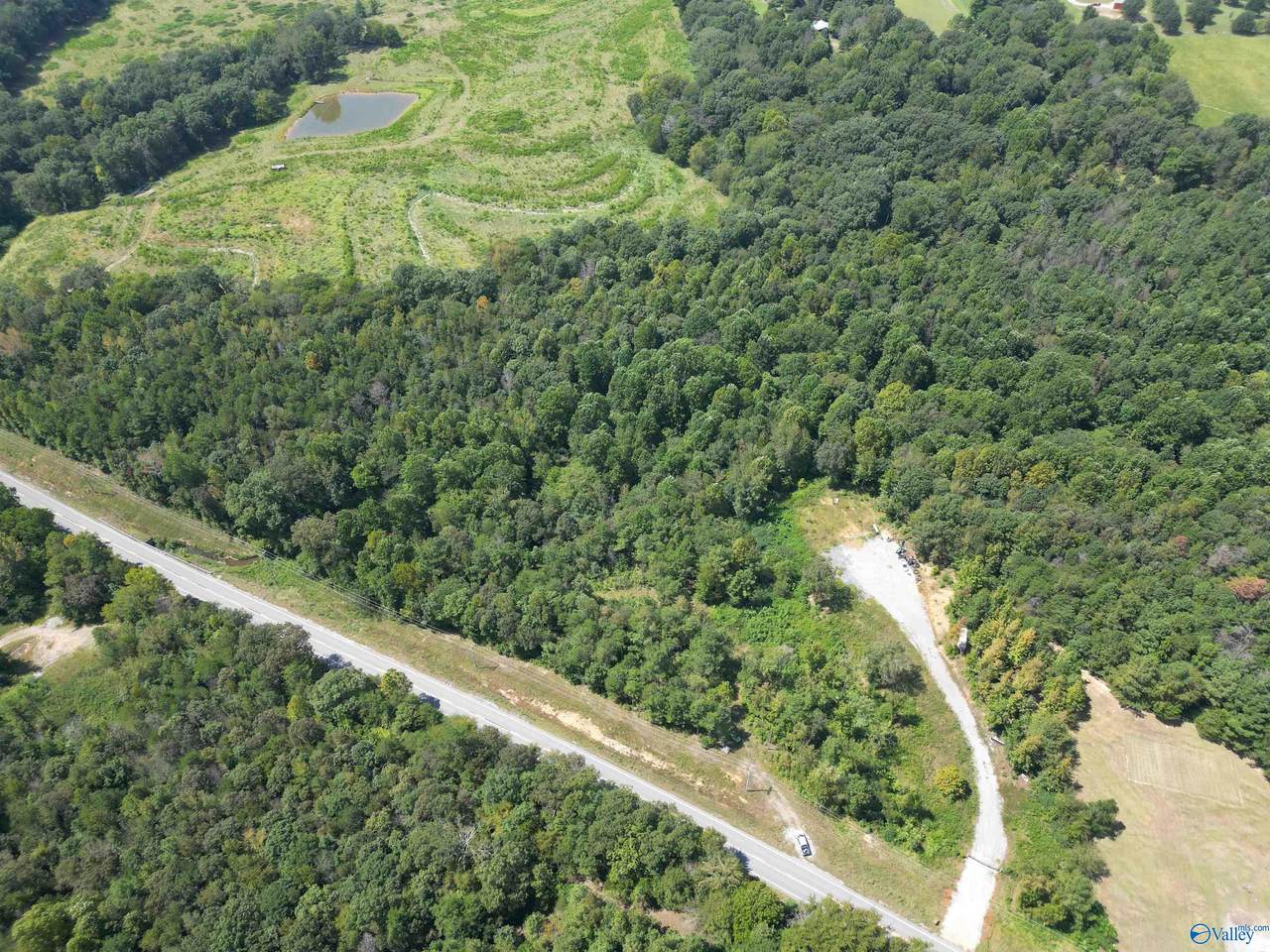 10267 Alabama Highway 101 - Photo 1