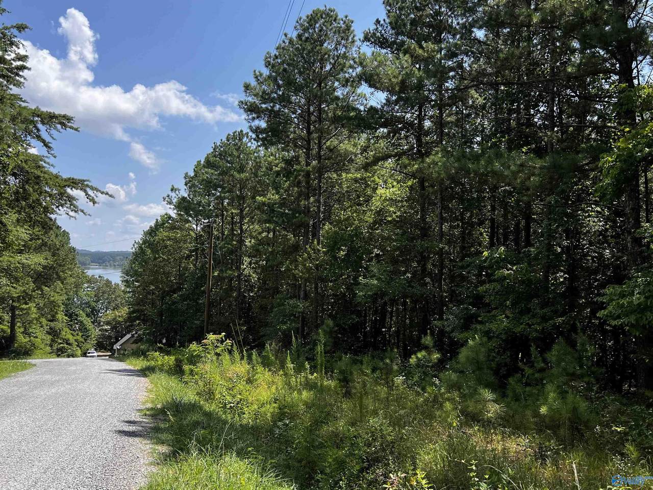 LOT 13 County Road 592 - Photo 1