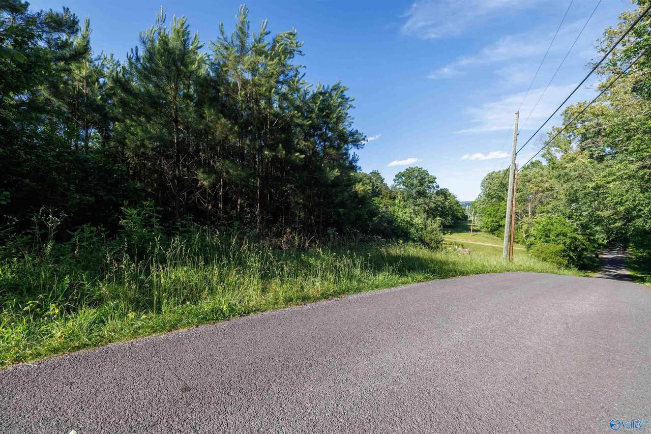 14 Acres Wills Creek Road - Photo 1