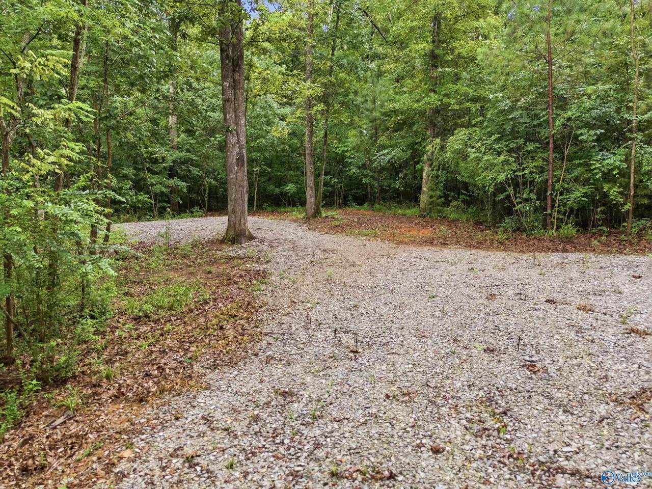 773 Mccutcheon Loop Road - Photo 1