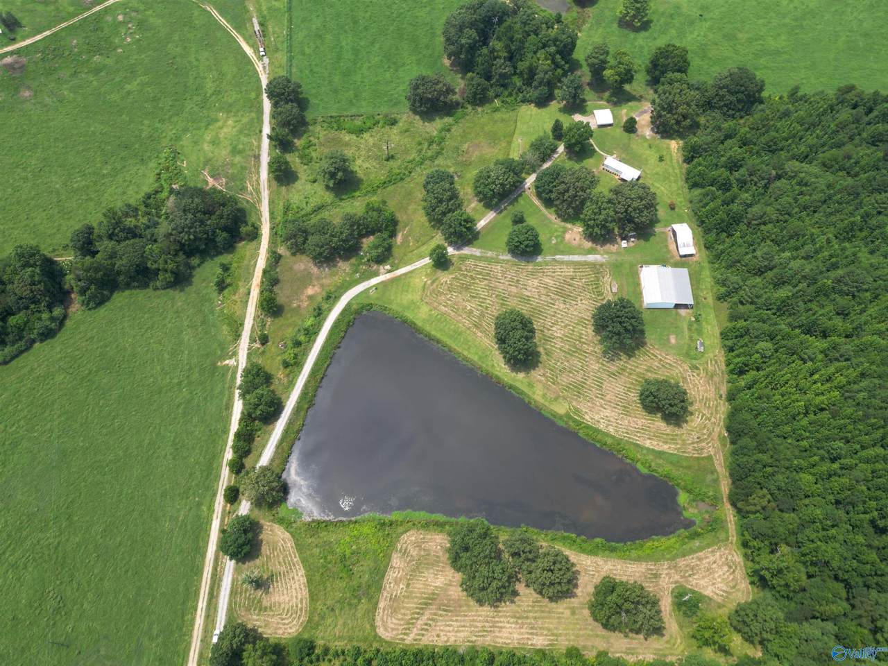 315 County Road 250 - Photo 1