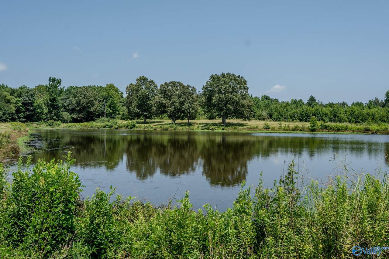https://bt-photos.global.ssl.fastly.net/nalmls/1280_boomver_3_21925248-2.jpg