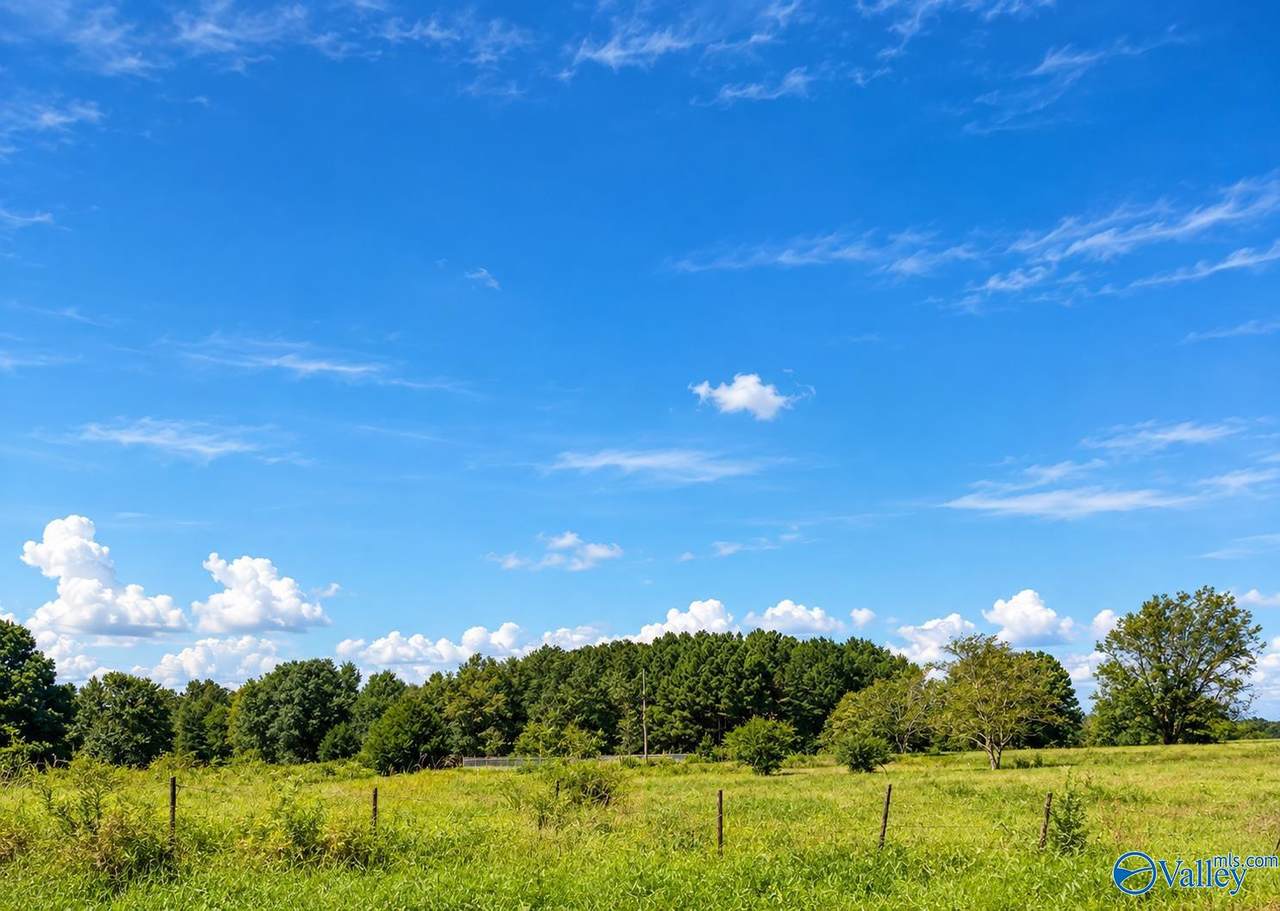 53 acres Ervin Patterson Road - Photo 1