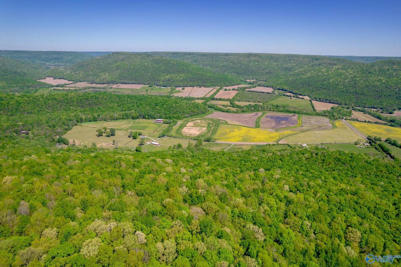 4400 County Road 39 - Photo 1