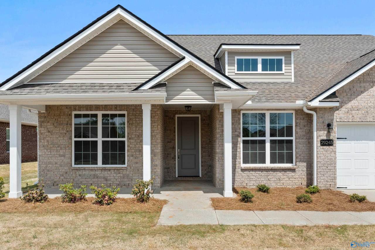 29245 Crawfish Drive - Photo 1