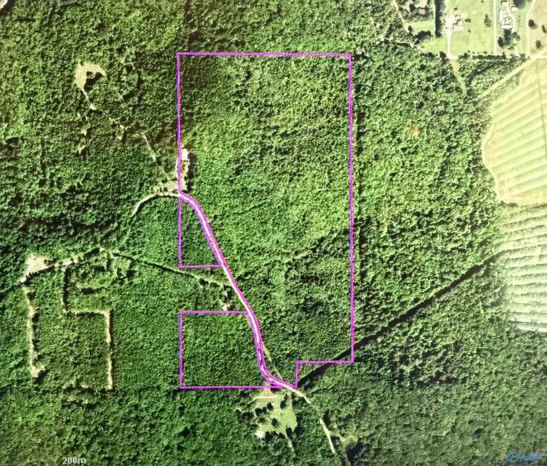 74.5 ACRES County Road 9 - Photo 1