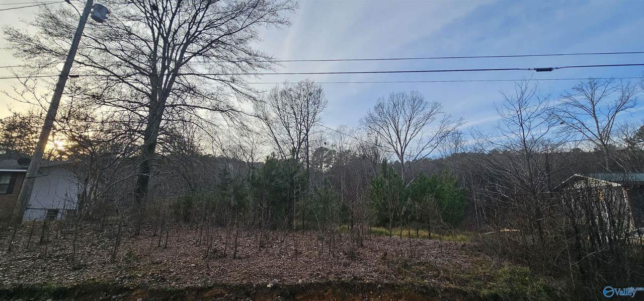 .37+/- Lot Park Road - Photo 1