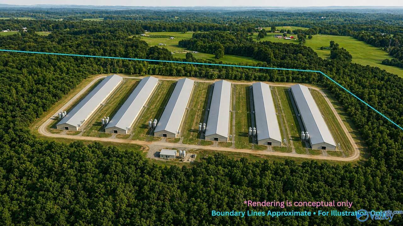 58 Acres Naples Lane - Photo 1